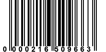 0000216509663