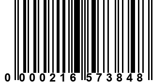 0000216573848