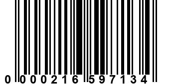 0000216597134