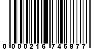 0000216746877