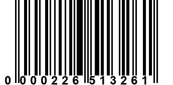 0000226513261