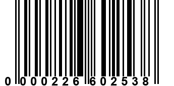 0000226602538