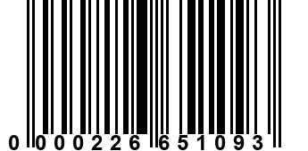 0000226651093