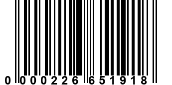 0000226651918