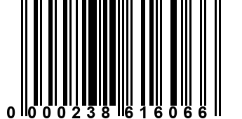 0000238616066