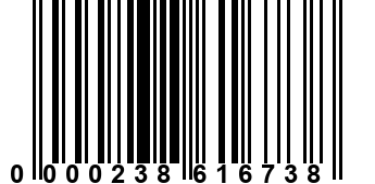 0000238616738