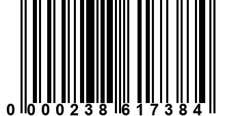 0000238617384