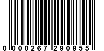 0000267290855