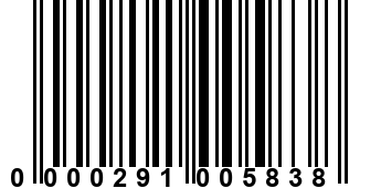 0000291005838