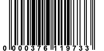 0000376119733