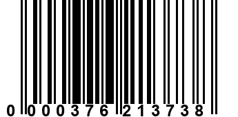 0000376213738