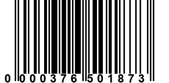 0000376501873