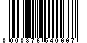 0000376540667