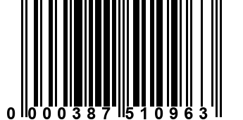 0000387510963