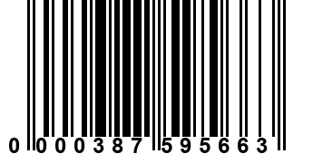 0000387595663