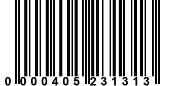 0000405231313