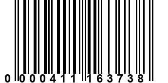 0000411163738