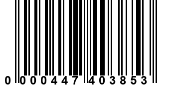 0000447403853