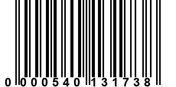 0000540131738