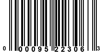 000095223063