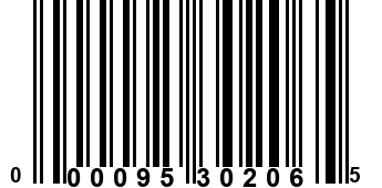 000095302065