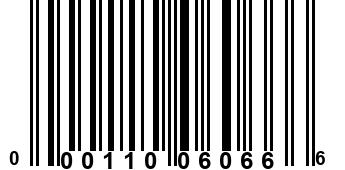 000110060666