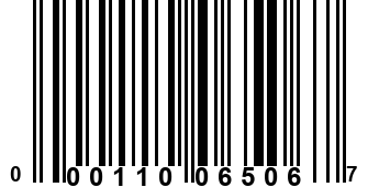 000110065067