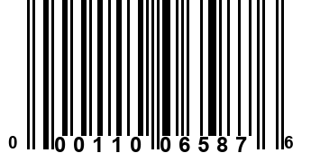 000110065876