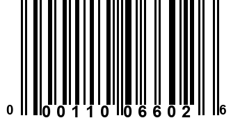 000110066026