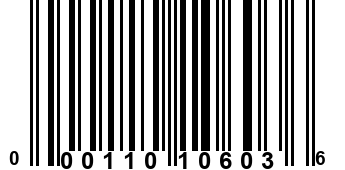 000110106036