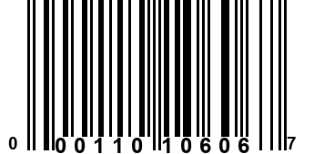 000110106067