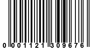 0001121309676