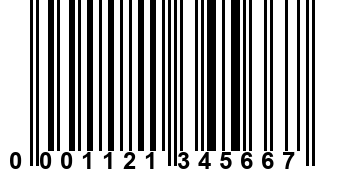 0001121345667