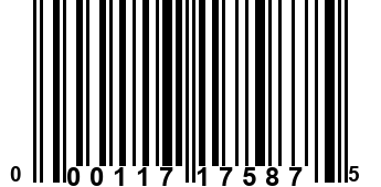 000117175875