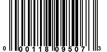 000118095073