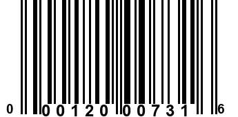 000120007316