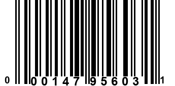 000147956031