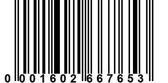 0001602667653