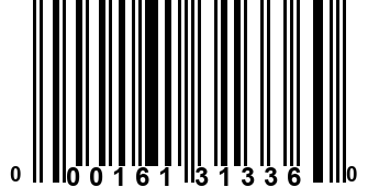 000161313360