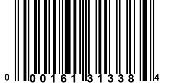 000161313384