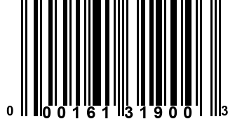 000161319003