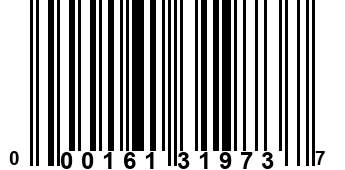 000161319737