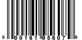 000161956079