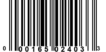 000165024033