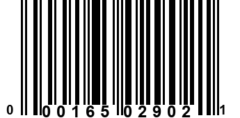 000165029021