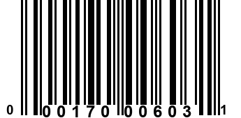 000170006031