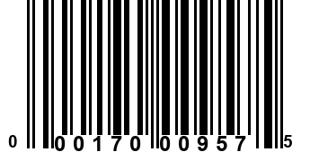 000170009575