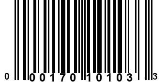 000170101033