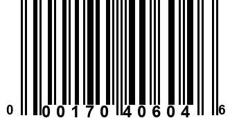 000170406046