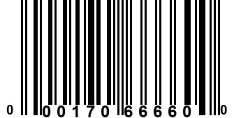 000170666600